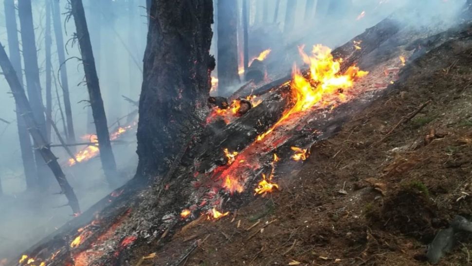 Incendiu pe raza Ocolului Silvic Pojorâta. Peste o sută de persoane au intervenit pentru lichidarea flăcărilor
