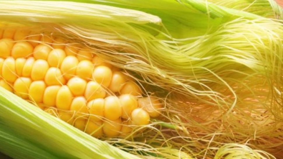 Porumbul fiert, unul dintre marile delicii ale verii. Cum se fierbe corect - Trucurile pe care trebuie să le știi și tu