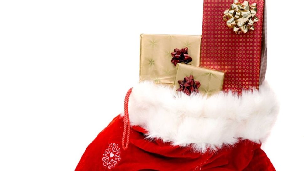 A uitat rucsacul plin cu cadouri şi cu 16.000 de euro sub un copac. Uluitor ce s-a întâmplat după un timp