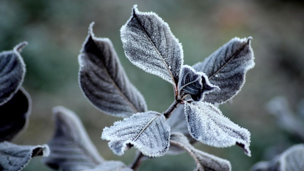ALERTĂ METEO. Meteorologii au emis iar cod GALBEN 
