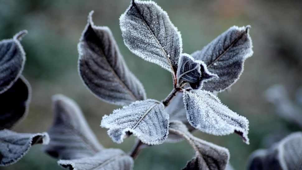 ALERTĂ METEO. Meteorologii au emis cod GALBEN de fenomene periculoase