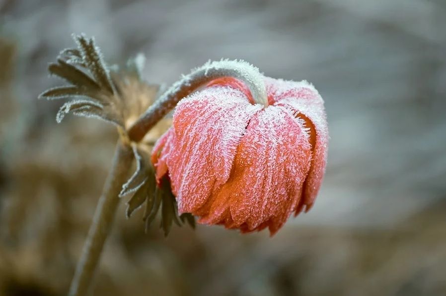 Meteorologul ANM Elena Mateescu anunță că valul de aer polar care vine peste România va aduce temperaturi chiar și de -15 grade Celsius