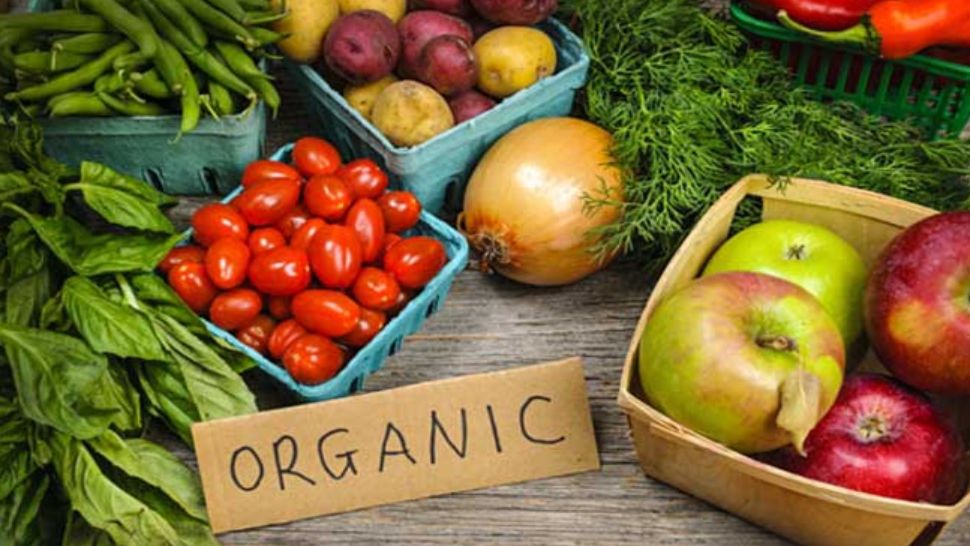 Leguma care îți aspiră toate toxinele din organism