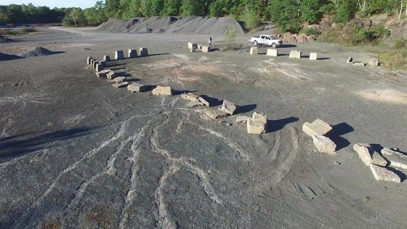 Cecetătorii au descoperit cea mai veche pădure din lume