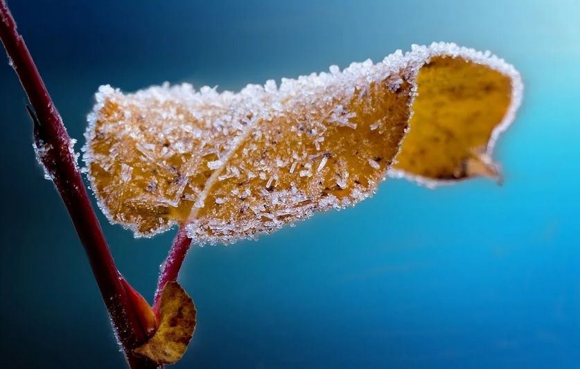 ALERTĂ METEO. Meteorologii au emis cod GALBEN de fenomene periculoase: NINSORI viscolite