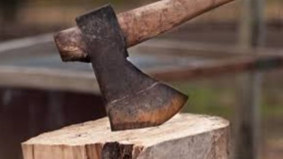 Caz șocant, în jud. Vaslui: și-a bătut iubita și tatăl cu toporul!