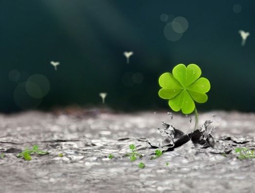 Horoscop 10 decembrie. Zodia care trage lozul câștigător! Nimic nu-i mai stă în cale acum