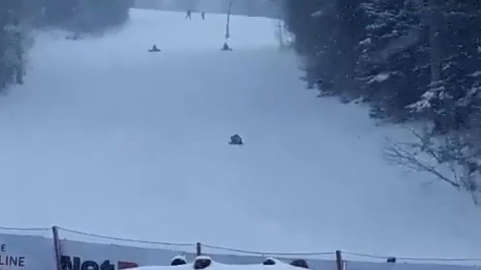 Mesaj Ro-Alert în Predeal! Doi urși au fost văzuți în zone pline de oameni