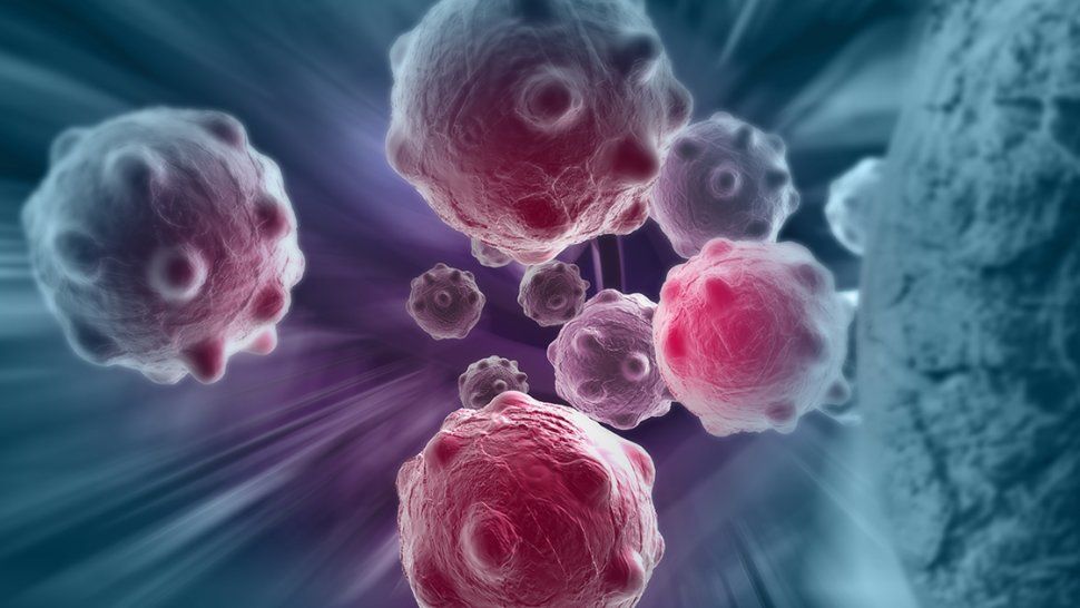 Descoperire revoluționară. O celulă din sânge ar putea trata toate tipurile de cancer