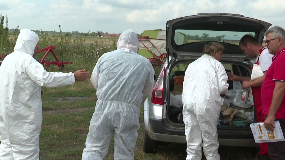 ALERTĂ ALIMENTARĂ Tone de carne de porc cu PESTĂ PORCINĂ,  de vânzare în târguri