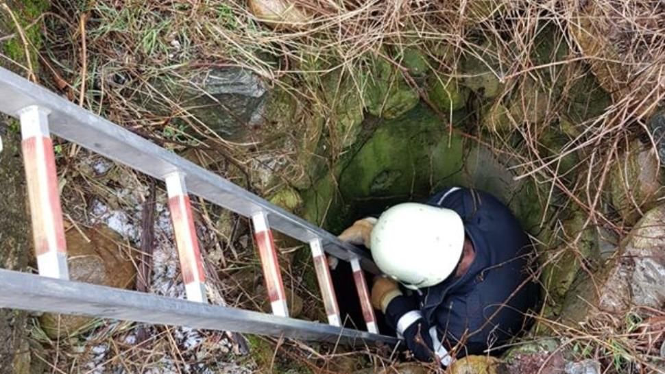 HAUUUUU ...HAUUUUU ... Mă aude cineva?