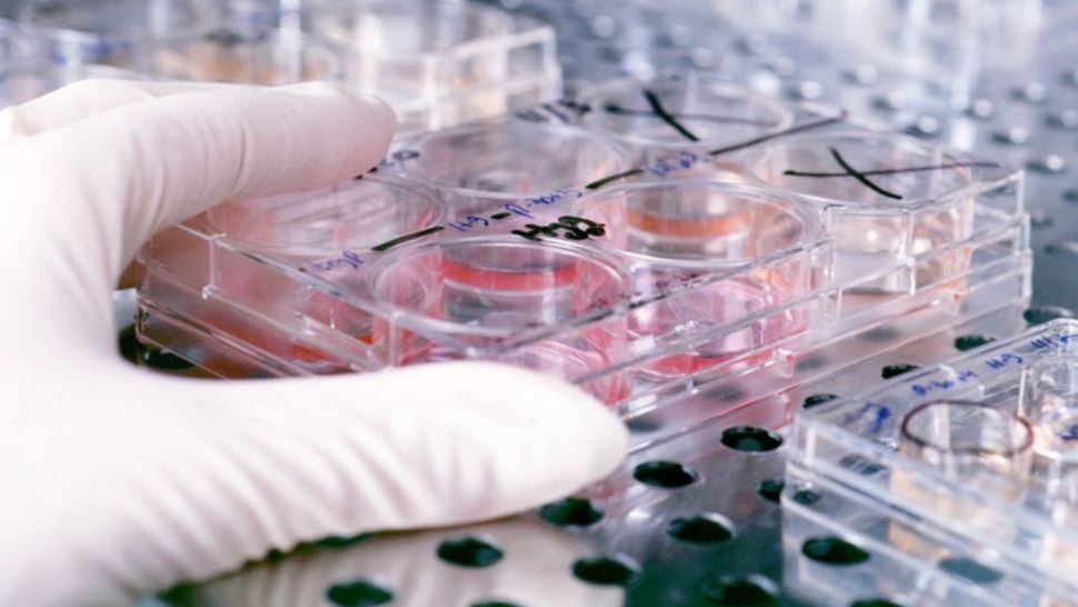 Un bărbat din jud. Hunedoara a murit din cauza gripei porcine