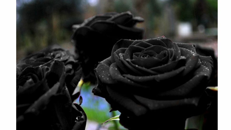 Doliu în muzică! Un nume uriaș ne-a părăsit 