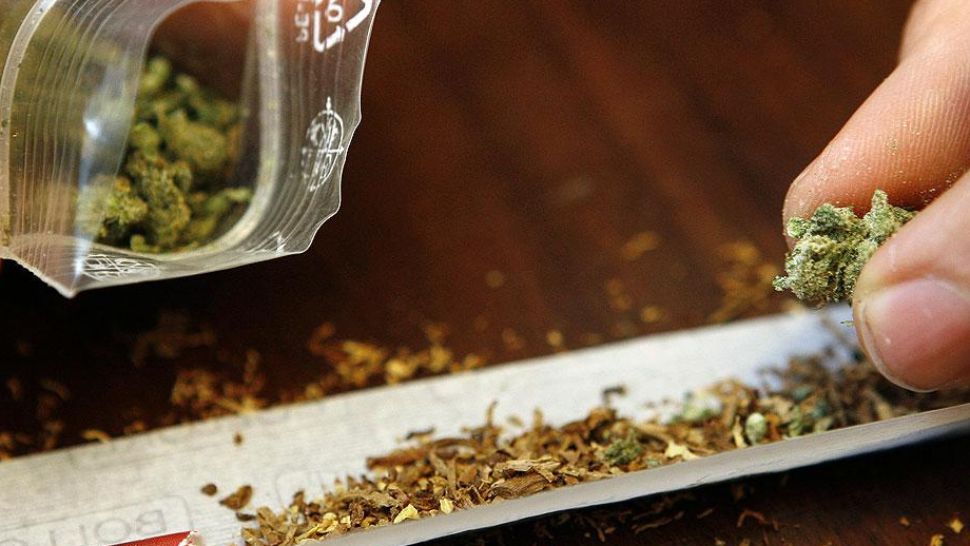  Președintele întoarce în Parlament legea USR care îi trimitea la pușcărie pe consumatorii de etnobotanice 