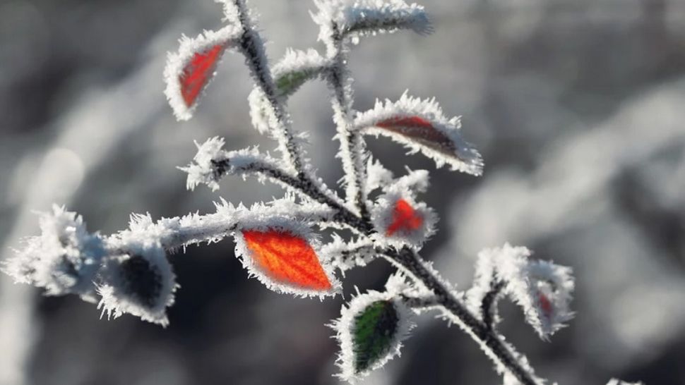 ALERTĂ METEO. Meteorologii au emis ATENȚIONĂRI de fenomene periculoase