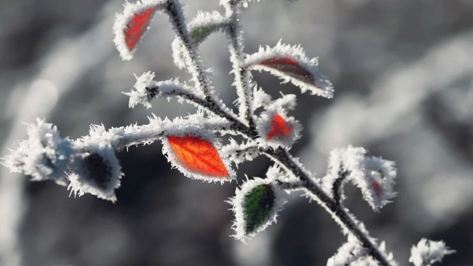 ALERTĂ METEO. Meteorologii au emis cod GALBEN de fenomene periculoase - HARTA