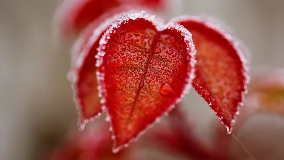 Prognoza meteo pe o lună. Schimbări importante: cum va fi vremea până pe 10 februarie