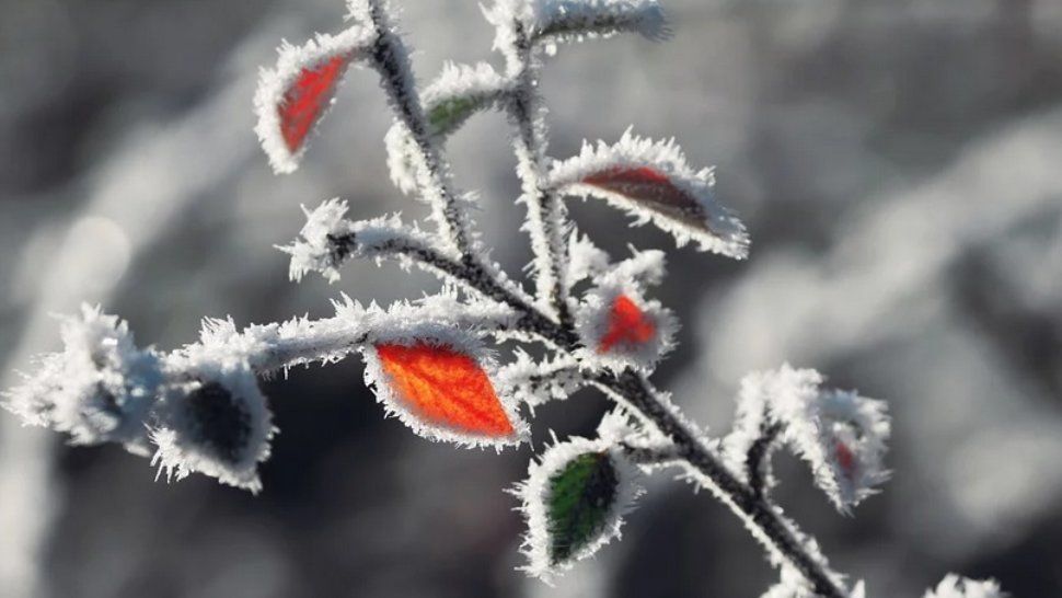 ALERTĂ METEO. Meteorologii au emis cod GALBEN de fenomene SEVERE