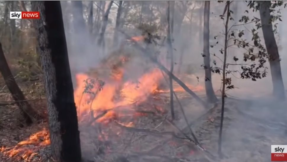 Dezastru în Australia. Cum se formează “furtunile de foc” care înghit totul în cale
