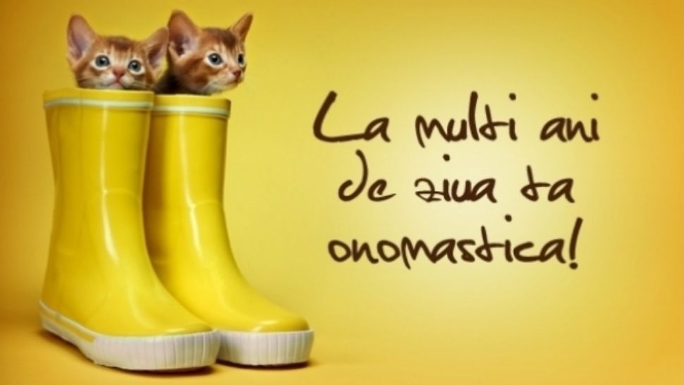 Felicitări Sf. Ion. Cele mai frumoase felicitări pentru Ioana, Ionuţ, Ion, Ionela şi Ioan