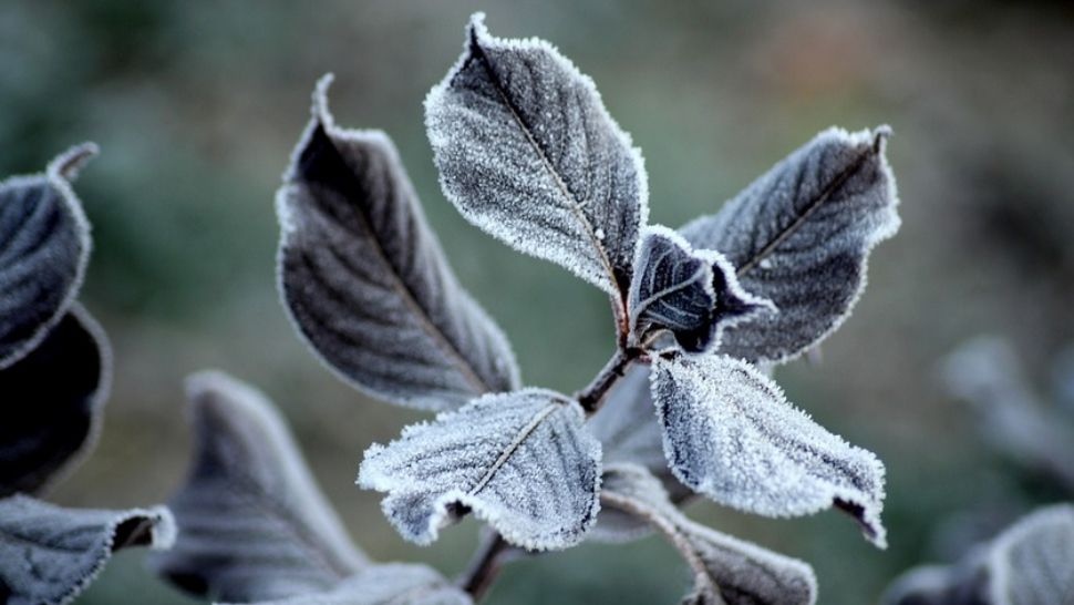 Vremea se schimbă radical. Prognoza meteo pe o lună