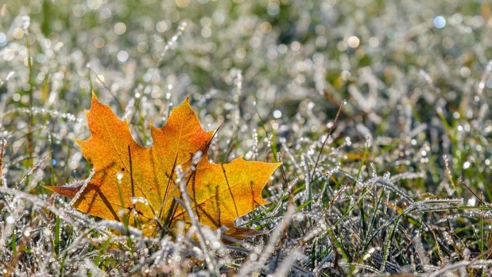 Prognoza meteo pe o lună. Schimbări SPECTACULOASE: cum va fi vremea până pe 10 februarie