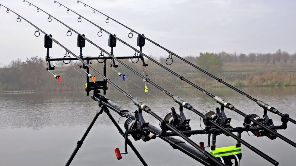 Pescuitul pe Dunăre va fi interzis dacă pescarii nu raportează capturile reale