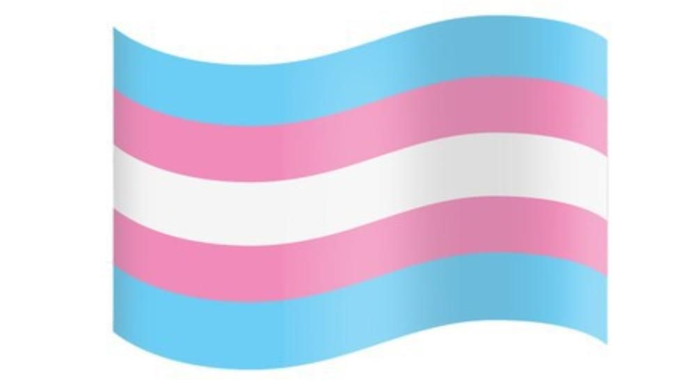 Elvețienii își pot SCHIMBA SEXUL în acte, printr-un simplu anunț la starea civilă