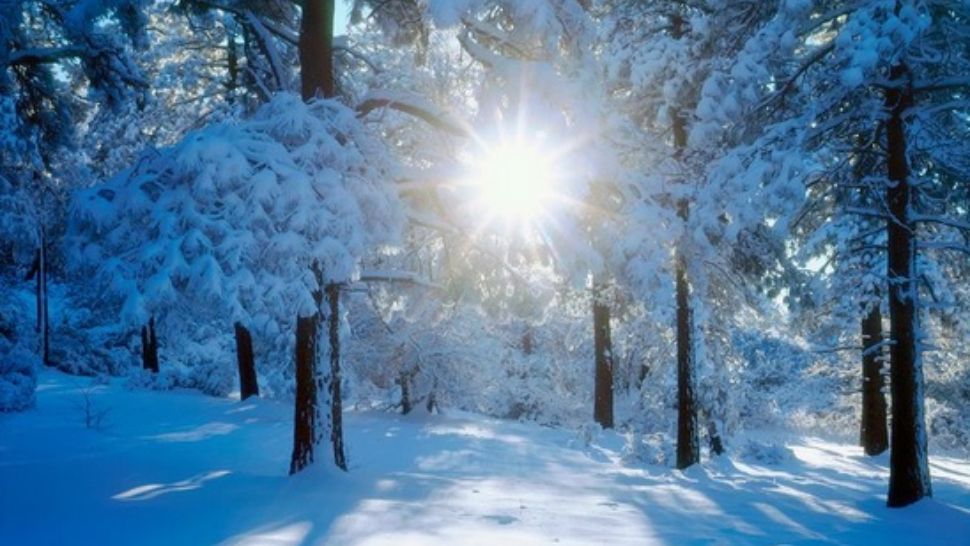 Iarna pune stăpânire pe țară! Informare meteo: cod galben de NINSORI și VÂNT PUTERNIC