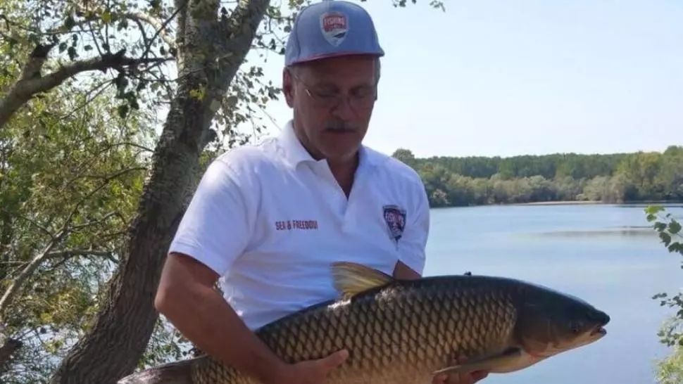 Reîncep audierile în dosarul BELINA. Judecătorii cercetează cum a ajuns insula din Teleorman la TELDRUM via Dragnea