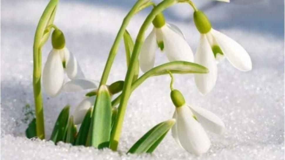 1 februarie - Meteo - Cum se schimba vremea - prognoza pe 2 zile