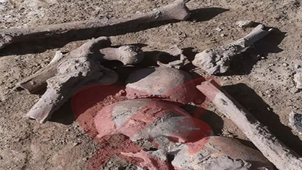 Resturi umane osoase, descoperite în Vaslui