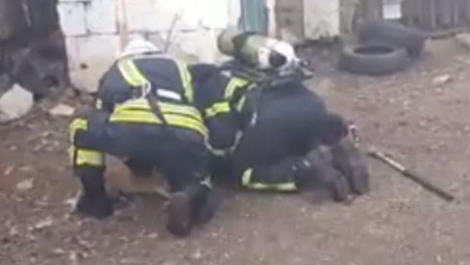 Momentul emoționant în care doi căţei şi o pisică sunt resuscitaţi. Au fost salvați dintr-o casă care ardea