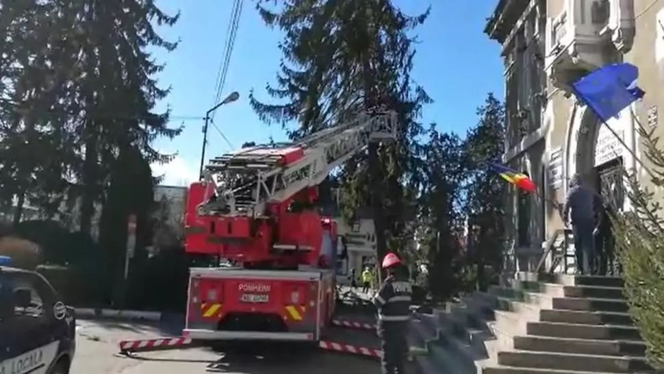 Un brad vechi de un secol riscă să cadă peste Primăria Târgoviște 