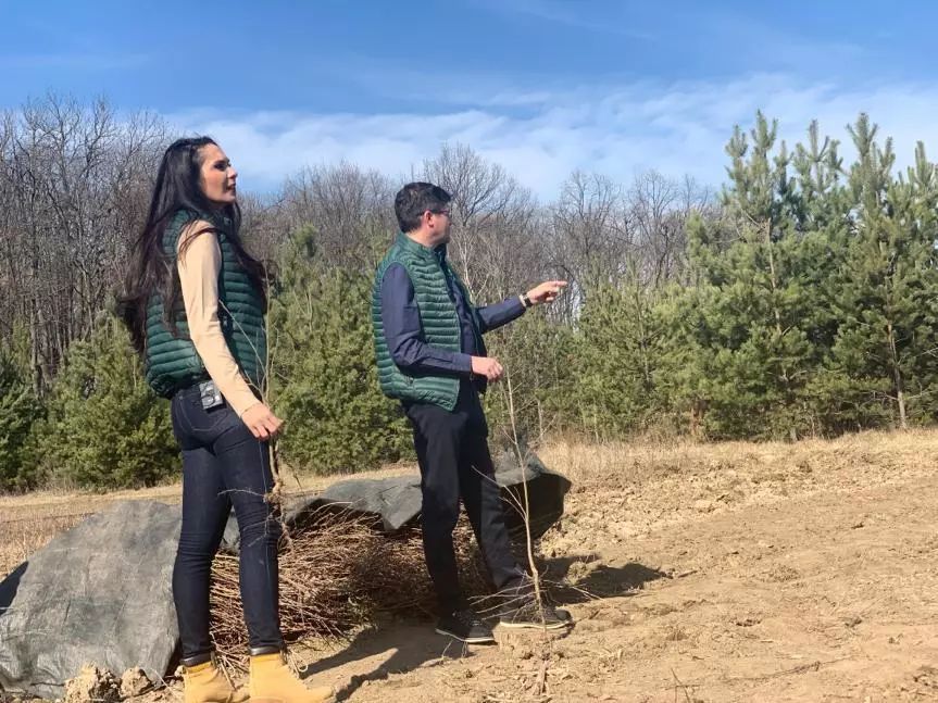 Cea mai mare campanie de împădurire din ultimul deceniu