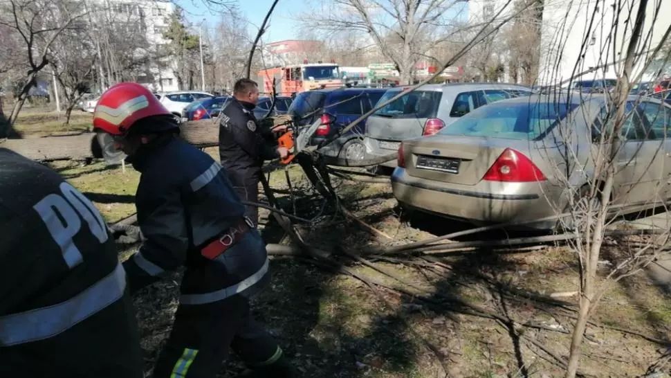 Vânt puternic în Prahova: Copaci și stâlpi doborâți