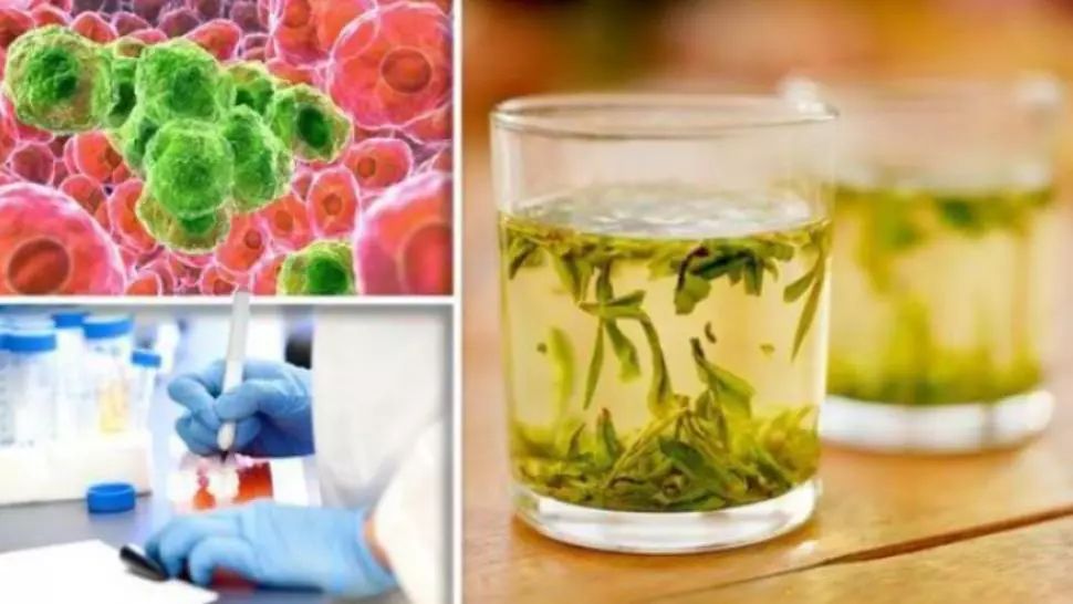 Singurul ceai care distruge celulele canceroase în 48 de ore. Uite cum se prepară