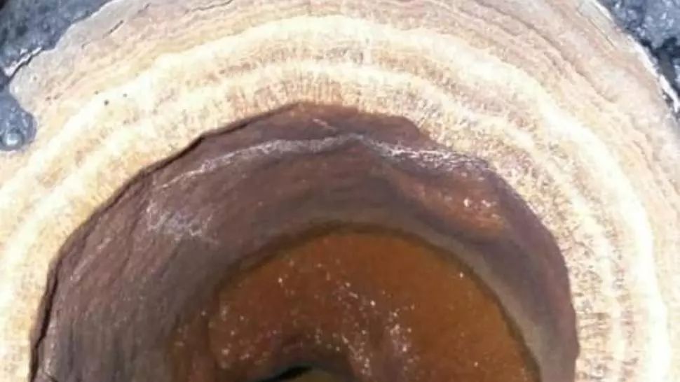 Un mort și 15 răniți după explozia unei conducte - Autoritățile, în alertă