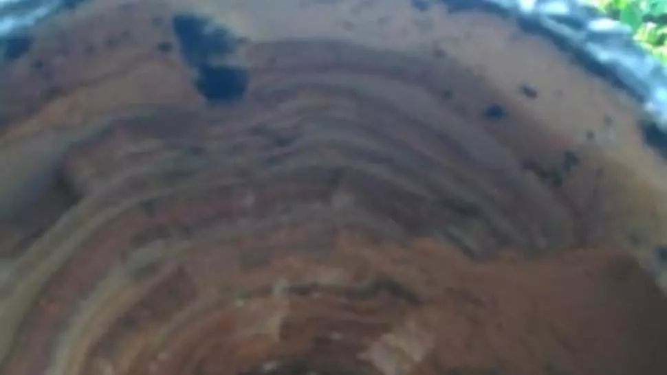 FOTO Cum arată conductele pentru apa caldă din București