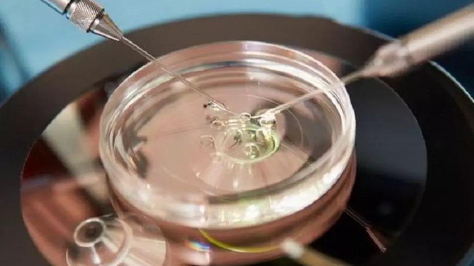 Riscul uriaș pe care îl prezintă copiii concepuți prin fertilizare in vitro