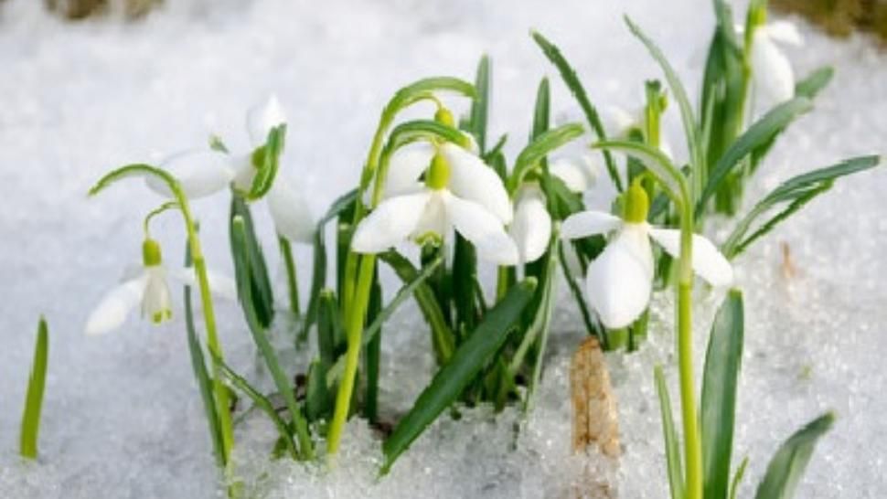 Prognoza meteo pe o lună. Schimbări RADICALE: cum va fi vremea până pe 2 martie