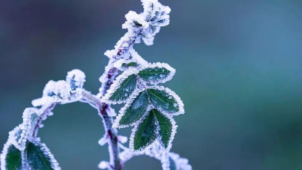 Prognoza meteo pe o lună. Schimbări radicale: cum va fi vremea până pe 9 martie