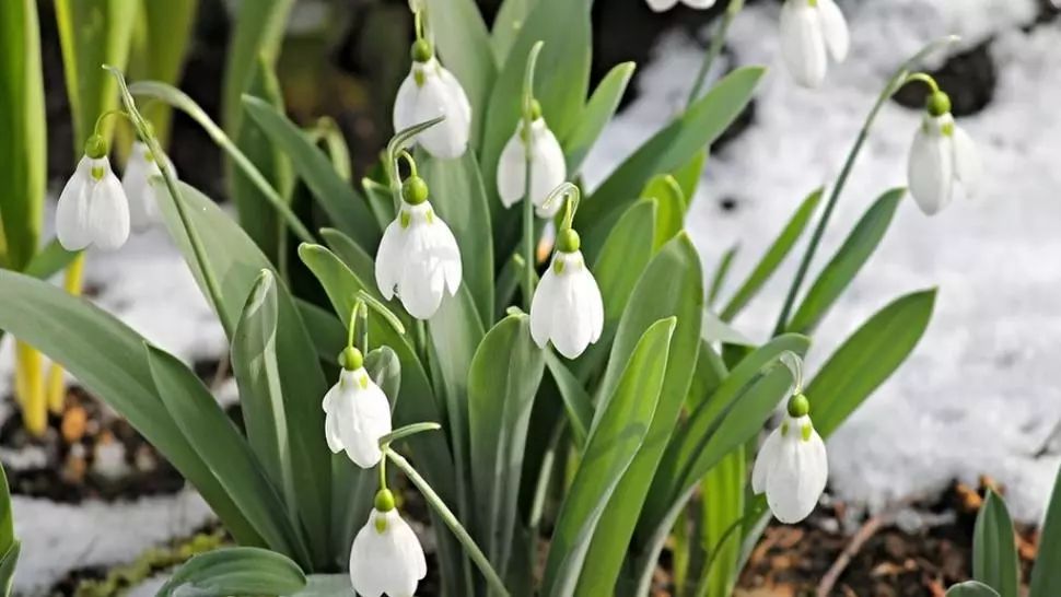 Vremea 18 martie 2020 - Oscilatii mari ale temperaturilor 