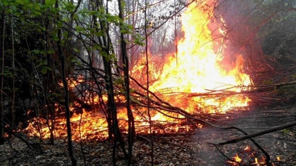 Județul Harghita: 30 de pompieri militari şi civili acţionează pentru stingerea unui incendiu de vegetaţie uscată