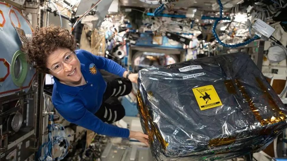 VIRAL Reîntâlnirea emoționantă dintre Christina Koch și câinele său după un an în spațiu