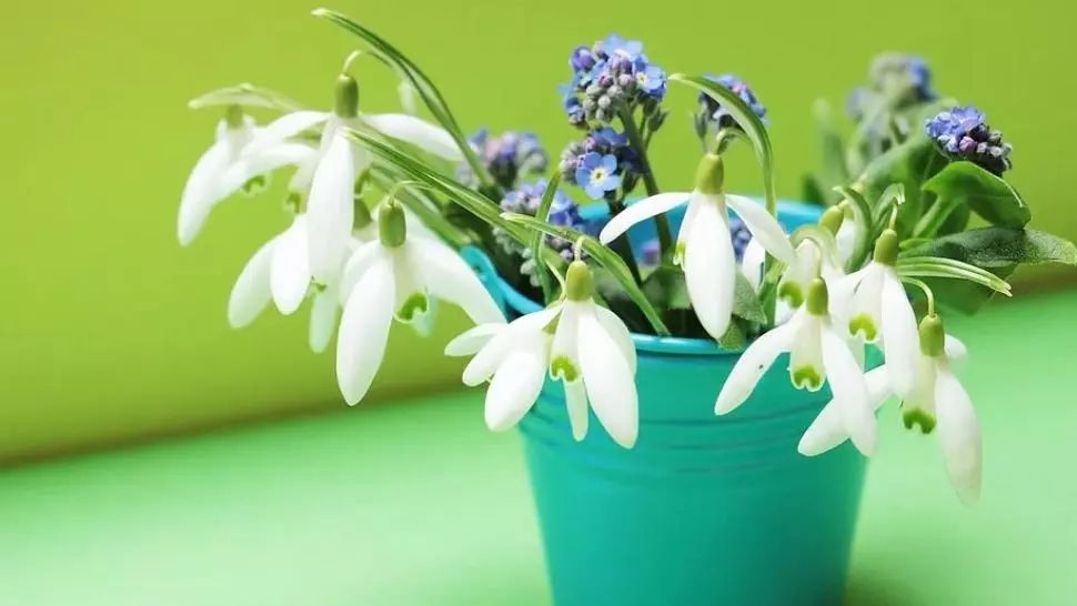 MESAJE de 1 Martie, URARI de 1 Martie. Cele mai inspirate mesaje de 1 Martie 2020