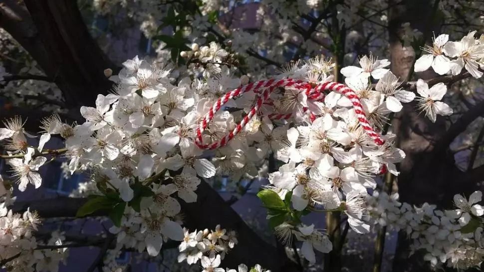 MESAJE 1 MARTIE // Mesaje Martisor. Cele mai frumoase mesaje, felicitari si urari de 1 Martie