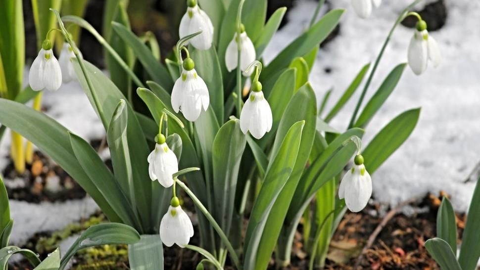 Prognoza meteo pe o lună. Schimbări importante: cum va fi vremea până pe 2 MARTIE