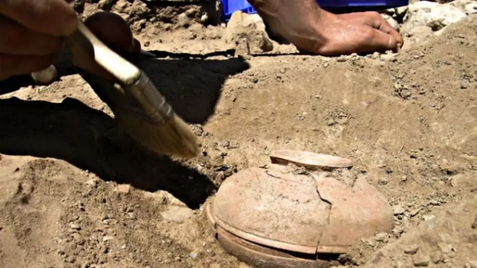 Au dezgropat o oală veche de 800 de ani, plină cu seminţe. Când au văzut ce a răsărit, au îngheţat! 