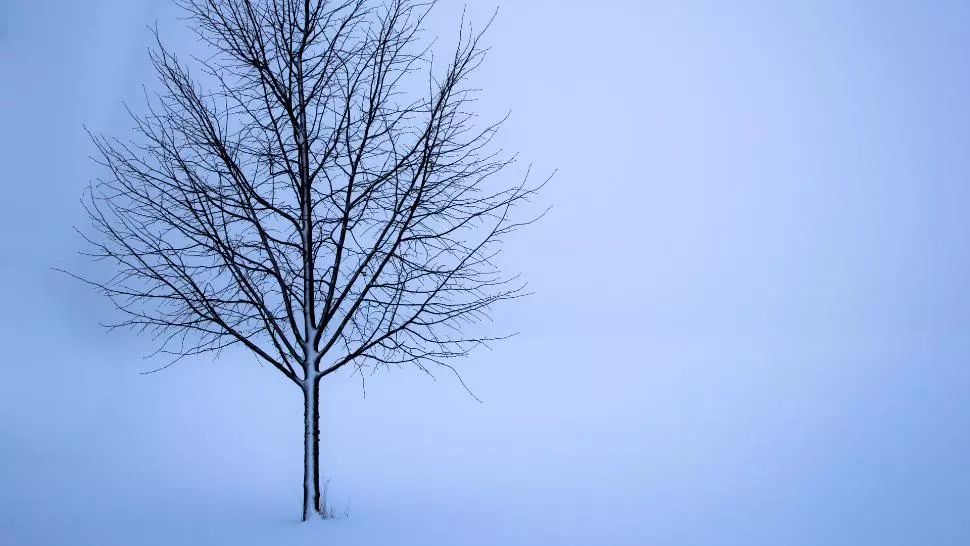 Un om al străzii, mort din cauza frigului la Giurgiu